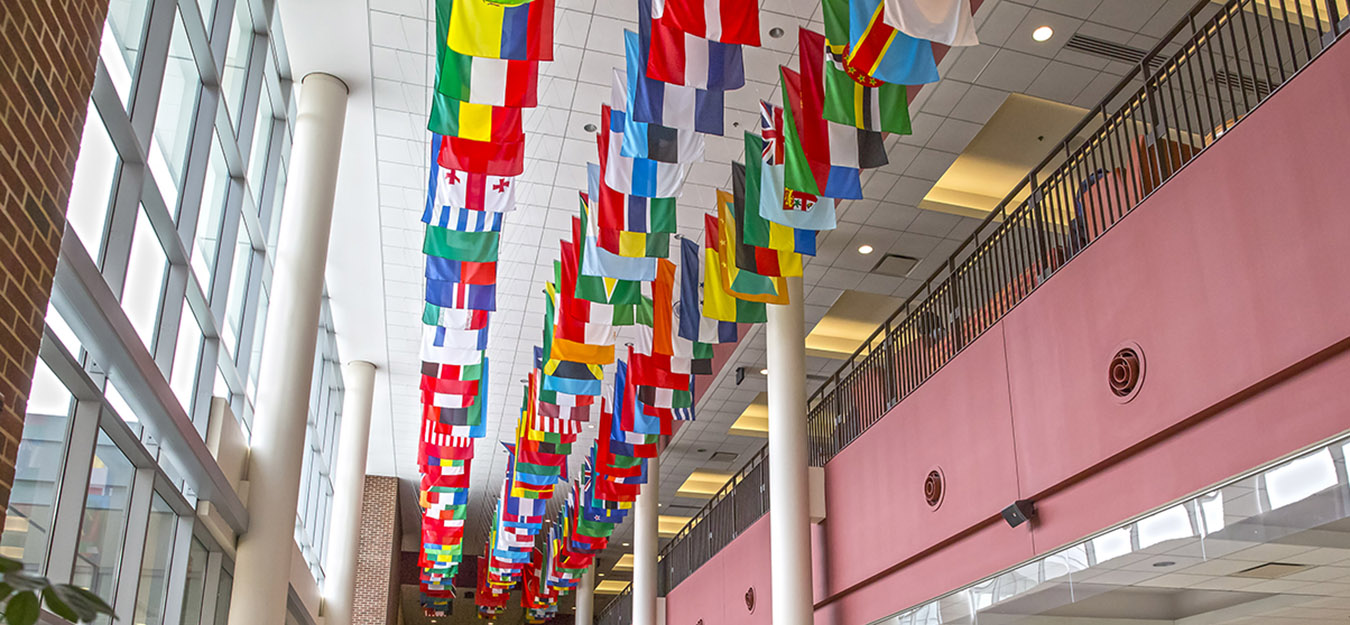 International Education
